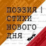 ПОЭЗИЯ | Стихи нового дня