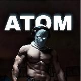 Атомная среда