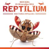 Рептилиум Reptilium | змеи | ящерицы | лягушки | рыбки