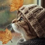 Rubix Q 🐸 ✨ I AM Remembering 777 ☝️🙏 ✨✨✨🕊️