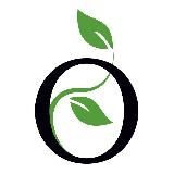 PO - Отзывы о продукте