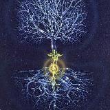 Мысли, которые меняют жизнь