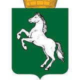 Приёмная Народного НЕ Губернатора