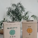 Экотусовка Белгород