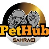 🐶سگ توی پودل تاینی پودل پامرانین پامر🐶