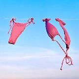 Трусишки по ветру