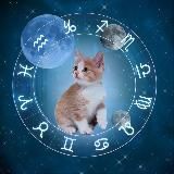 Lixinkkk | Таро | Гороскоп