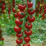 Agro marketing®️(Uyda qoling)