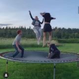 ɢʀᴜᴘᴘᴏ ᴀ ᴄᴀsᴏ👑❤️