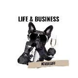 NekrasoFF - LIFE & BUSINESS 👽