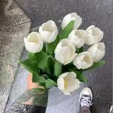 my love for paradise ☘️☘️