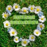 Дачные Прелести🍎