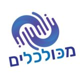 מכולכלים