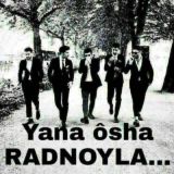 ..✴qadri baland qadrdonlar✴