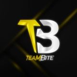 Bite team scrims чат