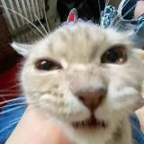 ненаебалово.ру