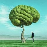 Со Смыслом | Психология | Цитаты