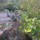 Кастельон-де-ла-Плана, Castelló de la Plana, Испания, 🇪🇸