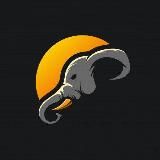 Шри-Ланка экскурсии гид Хиккадува Унаватуна Велигама Мирисса Бентона