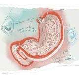 GIT books and courses