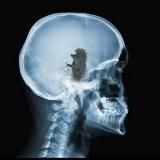 Туристичні плітки