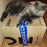 Скидки | акции |промокоды