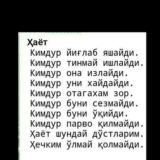 ✈️SO'X SAVDO BOZORI✈️