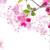 🍉吃瓜头条《新闻|搞笑|爆料》9999.COM独家冠名