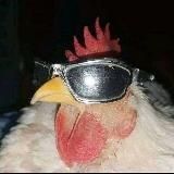 жучья контора