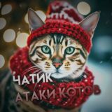 вз от атаки котов ❄️