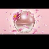 Muhammad _shop👉💄💯👍🛍️