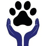 Забота о Лапках. Все о домашних животных!