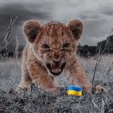 🔥Hot Music/Музика/Пісні 🔥