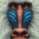 ПОПОВА pro финансы