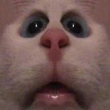 Tears Of Millennials 2