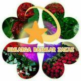 Ismlarga rasimlar zakas