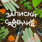 Записки садовника🥕 |Дача|Сад|Огород