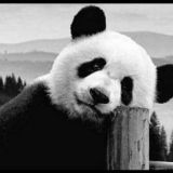 قصص قصيرة 💖