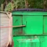 ПОМОЙКА весенняя