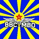 ВЕТЕРАНЫ ВВС МВО