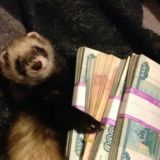 Работа с Тинькофф 🇷🇺💛