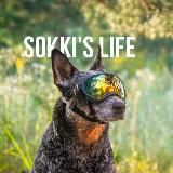 Teykin.shop/ Амуниция для животных