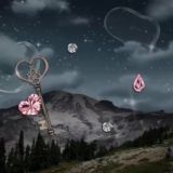 Bio and Username Ideas