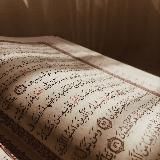 _.ɪsᴛɪǫᴀᴍᴀ._