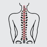 Стоп сутулость и сколиоз. Советы экспертов👨🏼‍⚕️