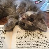 𝓂𝓊𝓇𝓇𝒷𝑜𝑜𝓀𝓈 ᥫ᭡