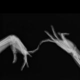 ꅏꃅꍏ꓄ ꓄ꍟꍟꈤꌗ ꒒ꀤꀘꍟ