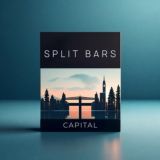 SPLIT BARS CAPITAL • Инвестиции • Трейдинг