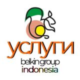 Belkin Group Услуги на Бали