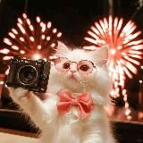 Screenshot & MOD By 🅝🅔🅚🅞_🅒🅗🅐🅝•²ᵏ⁵🇻🇳